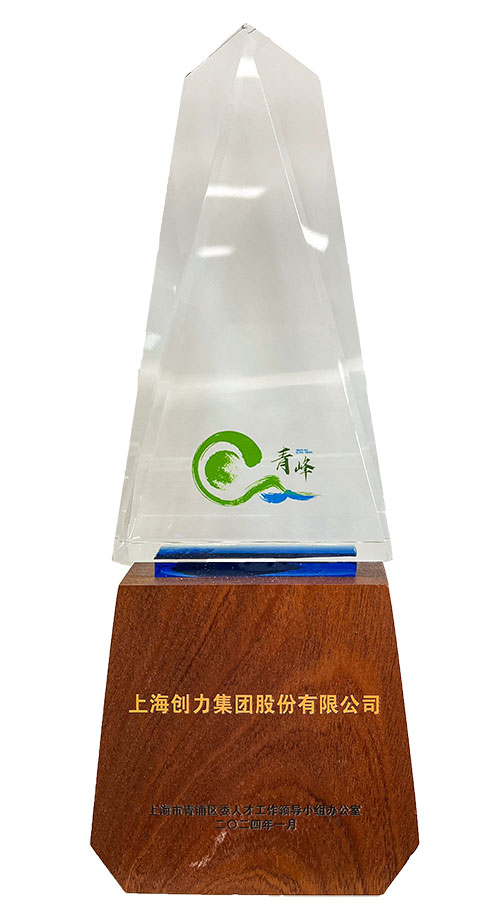 喜报！上海摩斯国际集团荣获2023年度青浦区百强优秀企业等三项大奖(图3)