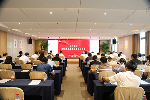 摩斯国际集团召开2025上半年度经营分析会(图1)